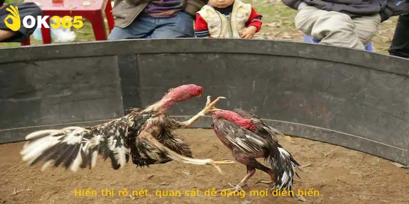 Hiển thị rõ nét, quan sát dễ dàng mọi diễn biến.