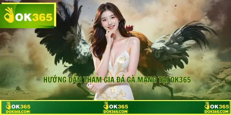 Hướng dẫn tham gia đá gà mạng tại OK365