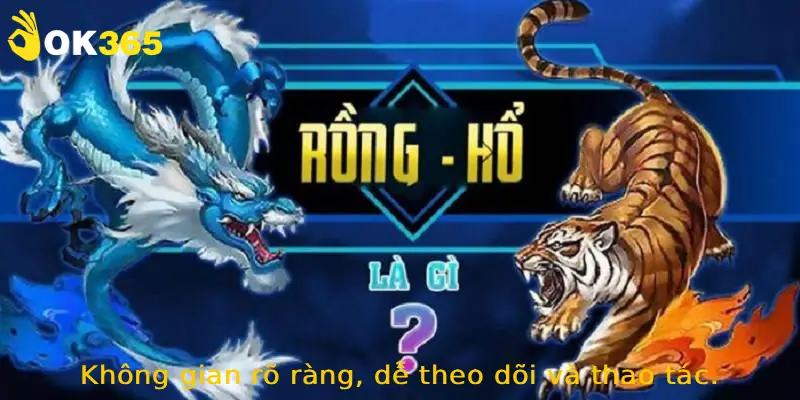 Không gian rõ ràng, dễ theo dõi và thao tác.