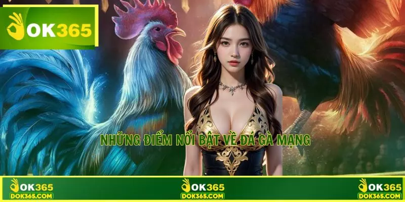 Những điểm nổi bật về bộ môn newbie cần biết