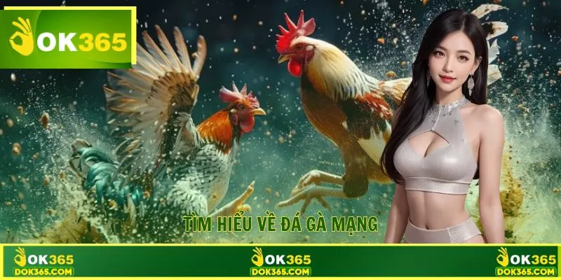 Tìm hiểu về loại hình đá gà mạng