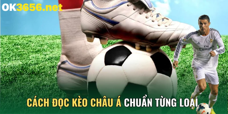 Cách Đọc Kèo Châu Á Chuẩn Từng Loại Từ Chuyên Gia 2026
