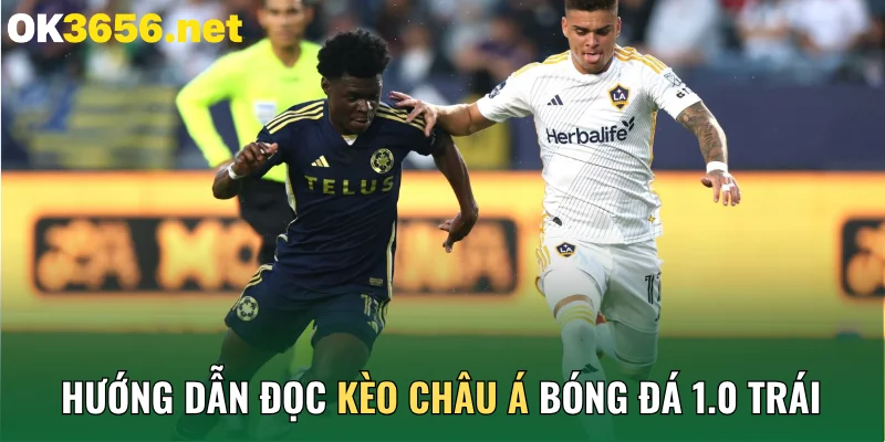Hướng dẫn đọc kèo châu Á bóng đá 1.0 trái
