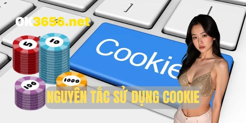 Nguyên tắc sử dụng cookie