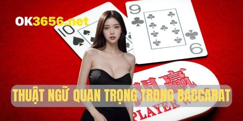 Thuật ngữ quan trọng trong Baccarat OK365