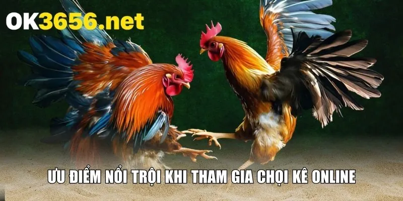 Ưu điểm nổi trội khi tham gia chọi kê online